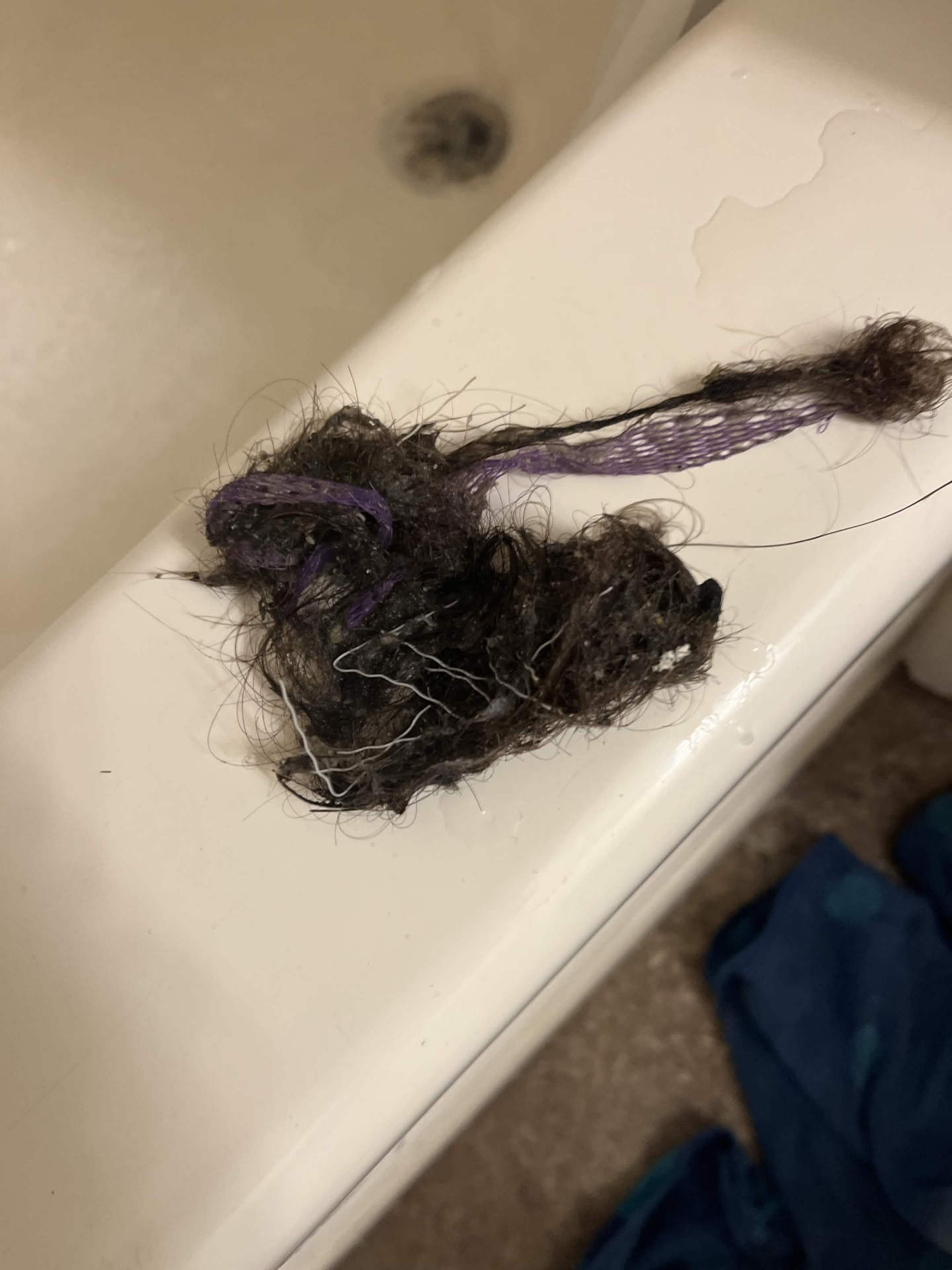 Hair and debris clog pulled from the tub drain