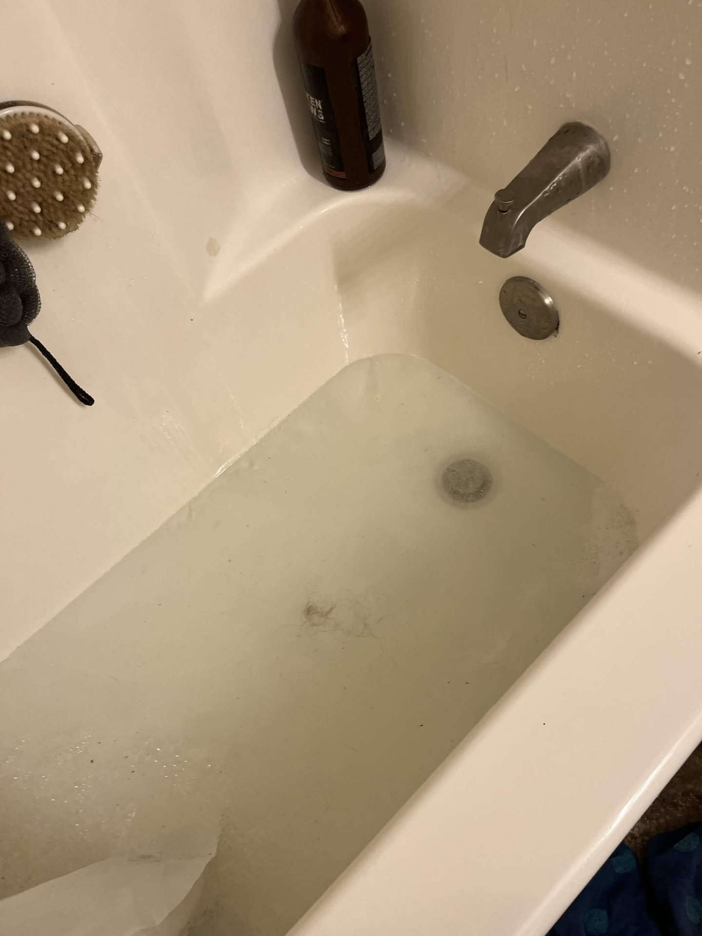 Bathtub filled with standing water from a clogged drain