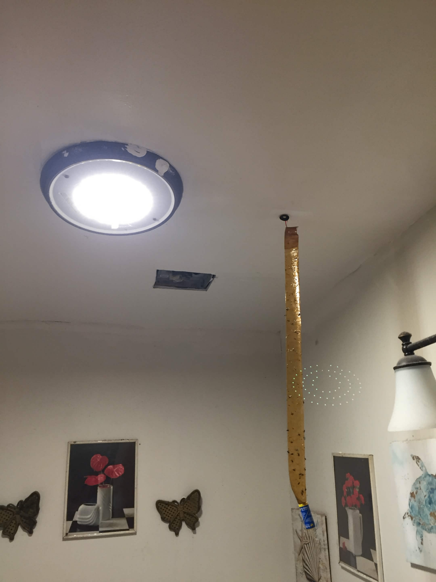 Repaired ceiling after patching, texturing and paint